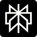 Perplexity Logo