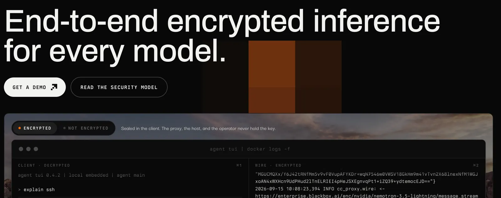 Blackbox AI